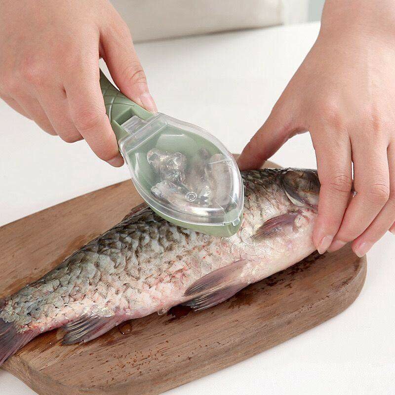 Écailleur à poisson pratique