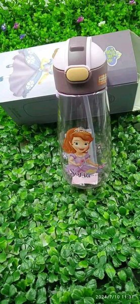 Gourde Princesse Disney