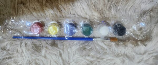 Set de Peinture Artistique