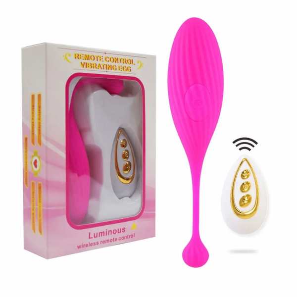 Œuf télécommande