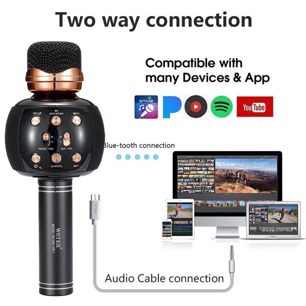 WSTER WS2911 Bluetooth Wireless Microphone - Karaoke