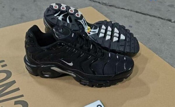 Paire NIKE/TN/authentiques