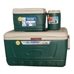 FOOD WARMER/ ICE CHEST