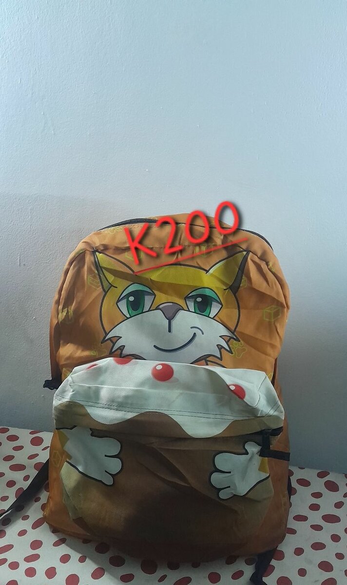 Assorted thrift school bags at affordable prices