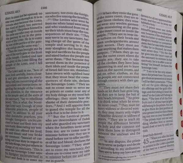 HOLY BIBLE (NIV) GAINT PRINT