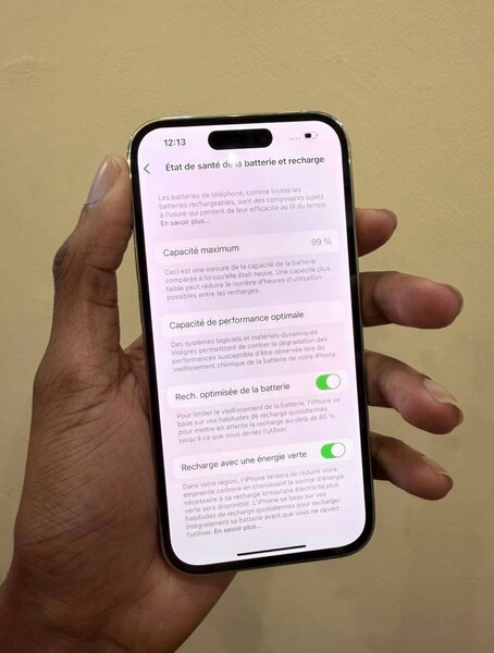 iPhone 14 Pro Max 256GB Argent