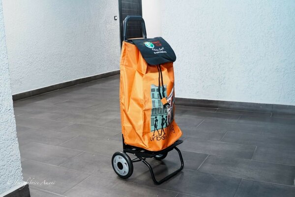 Chariot de Course Pliable - Urbain