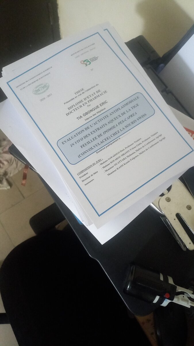 Thèses imprimées professionnelles