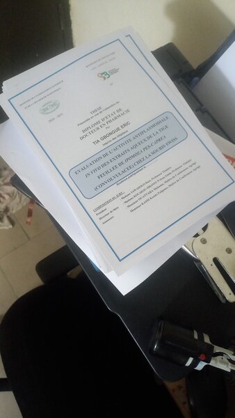 Thèses imprimées professionnelles