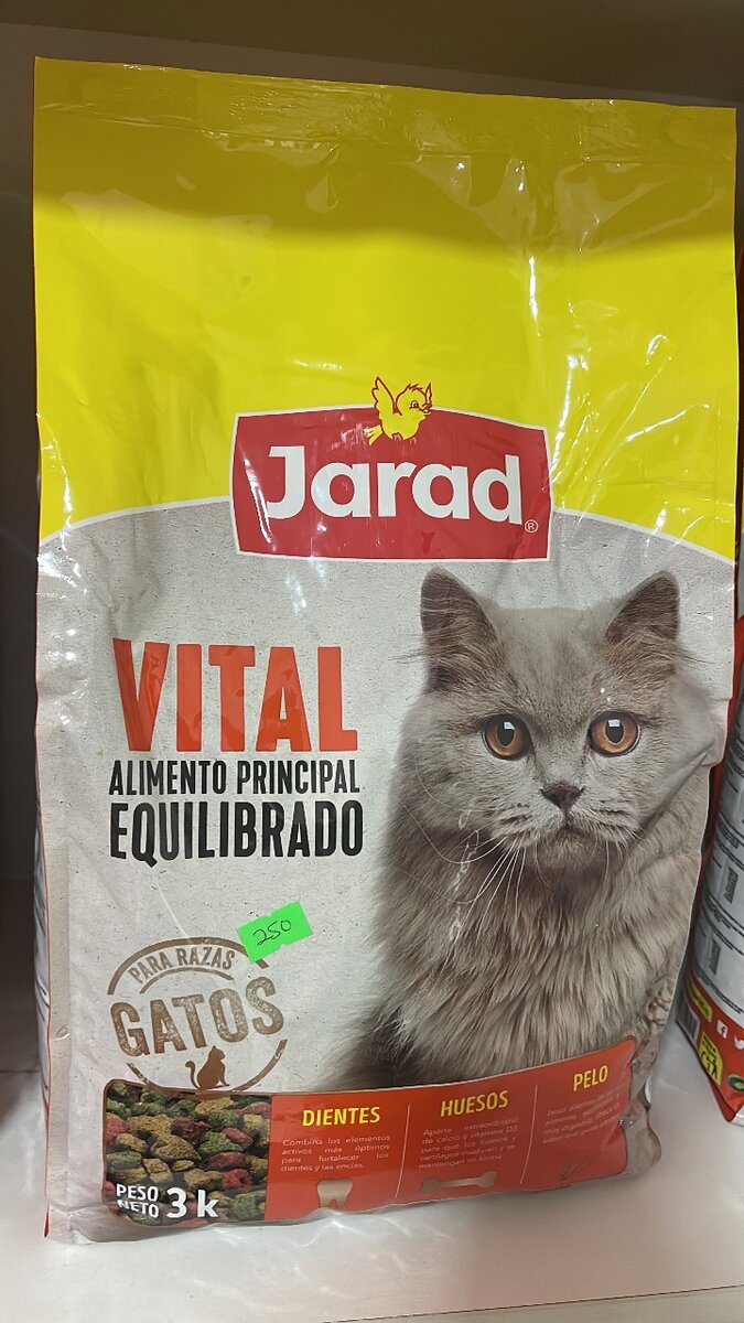 Jarad cat tood