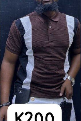 Beautiful and stylish Polo shirt