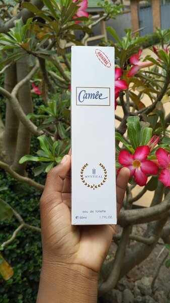 Bons parfums à odeur durable.