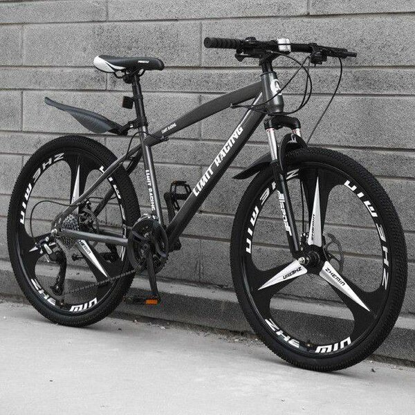 Vélo de montagne robuste