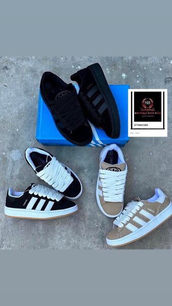 Basket adidas campus authentique avec sa boîte