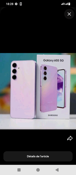 Samsung Galaxy A55 5G