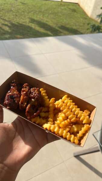 Ailes de poulet grillées et frites