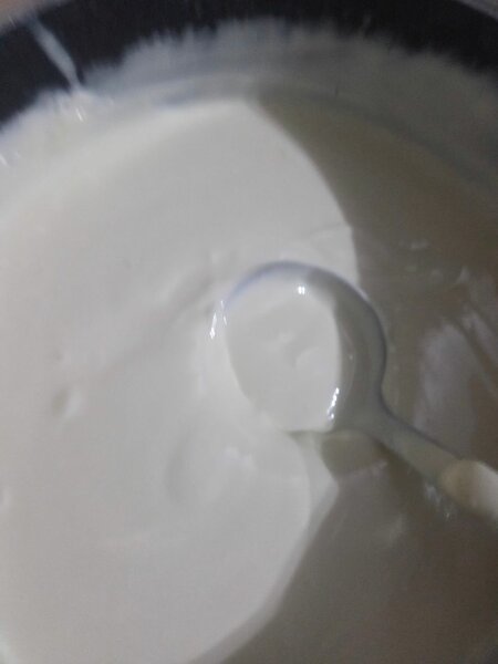 Yaourt Naturel Crémeux