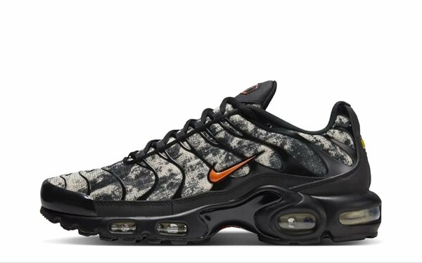 Chaussure tn