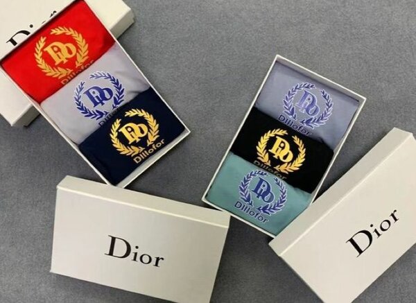 Boxer homme dior