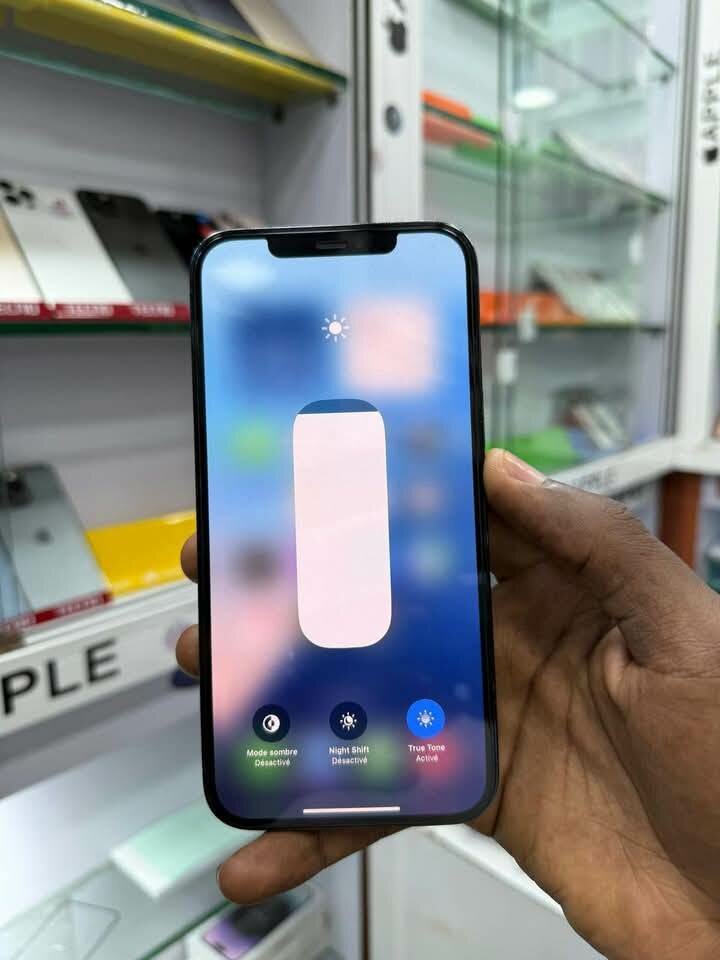 iPhone 12 Pro Max 256GB Bleu