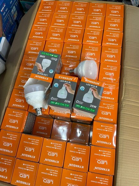 Ampoule LED 20W portable