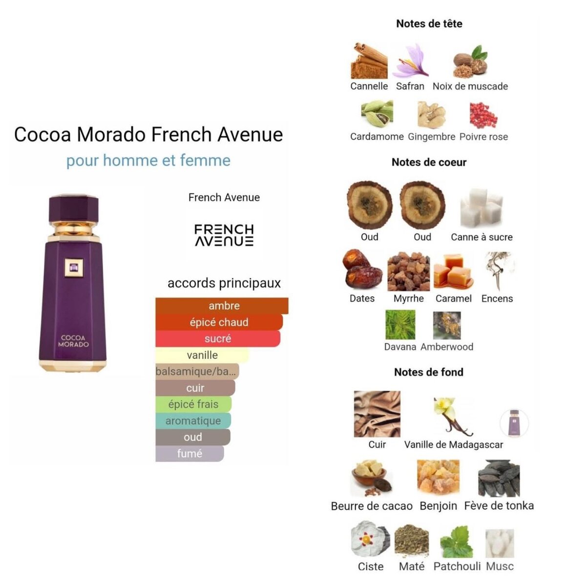 Parfum COCOA MORADO