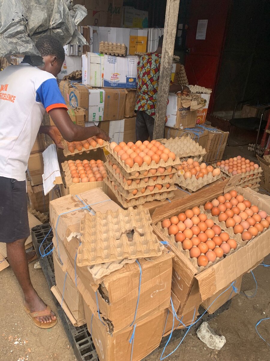 Œufs frais de ferme