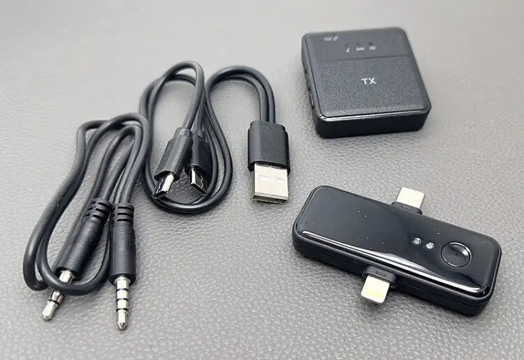 Microphone sans fil SX31