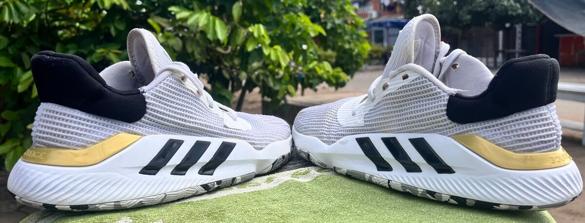 Adidas Pro Bounce 2019 Low Sn