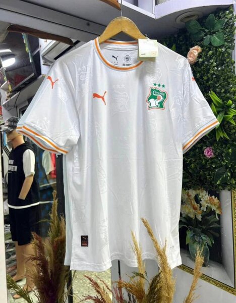 Maillot Côte d'Ivoire Puma