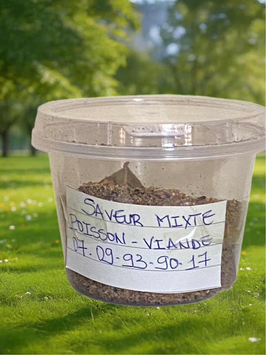 Tisane camomille et épices