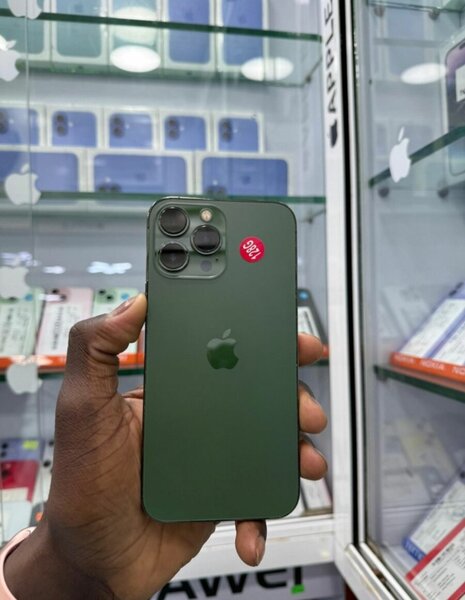 Iphone 13 pro max 128G vert