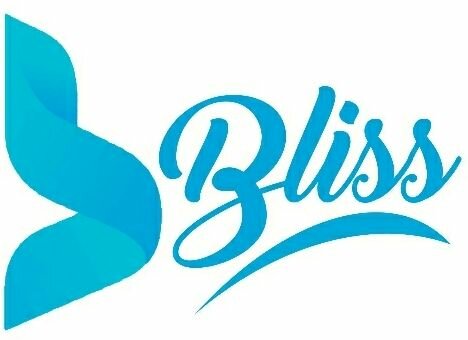 BLISS TYLER COMPUTER  