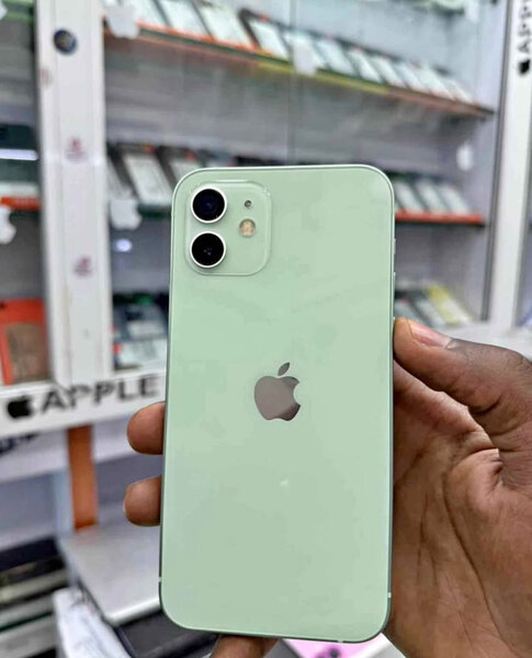 iPhone 12 Vert 128 Go