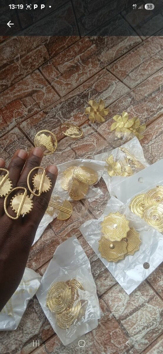 Boucles d'oreilles ethniques élégantes