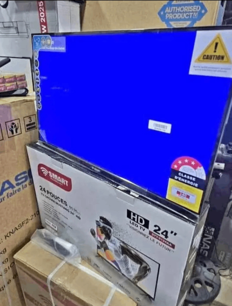 Télévision LED HD 24"