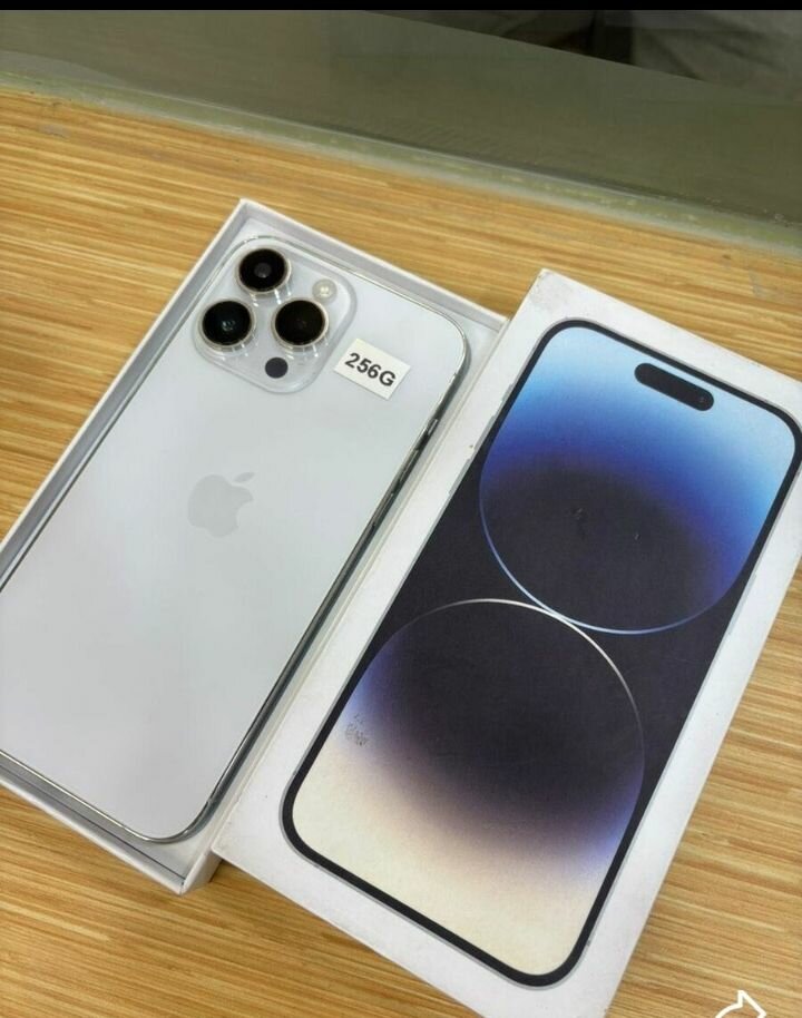 Smartphone 256 Go Écran Large