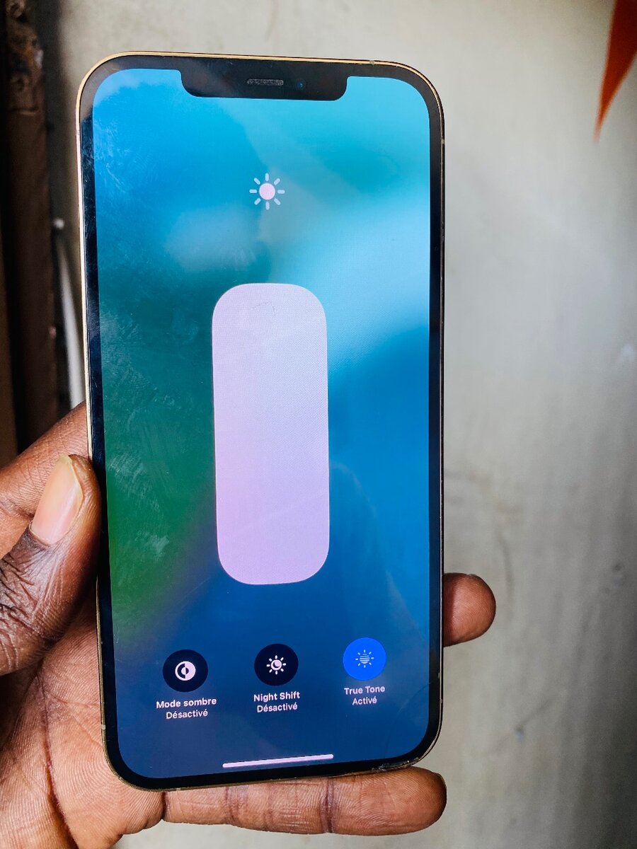 iPhone 12 Pro Max 256 giga