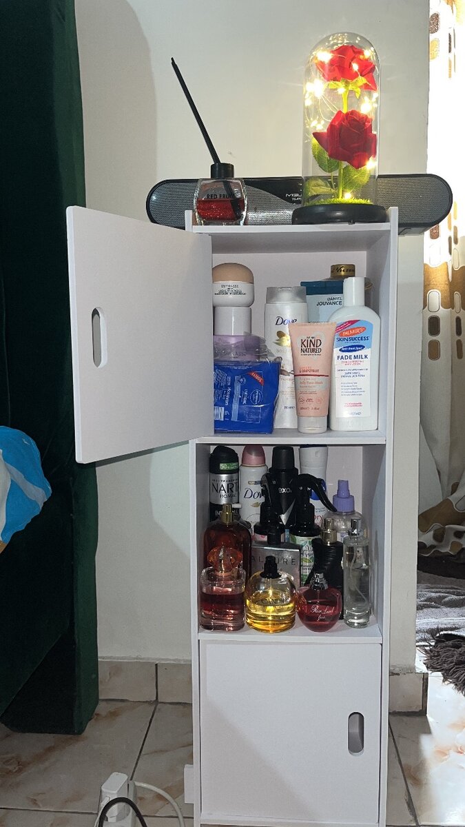 Armoire de Rangement Compacte