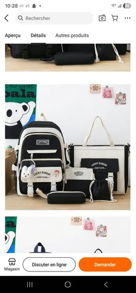 Set de Sacs Multifonctions Stylés