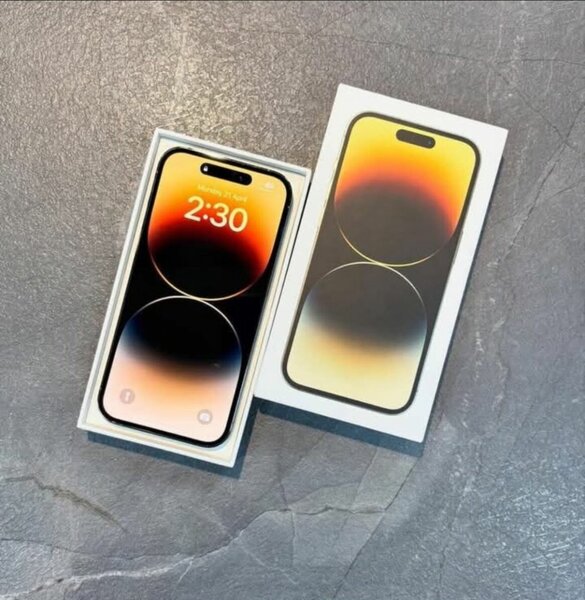 iPhone 14 Pro Max Argent