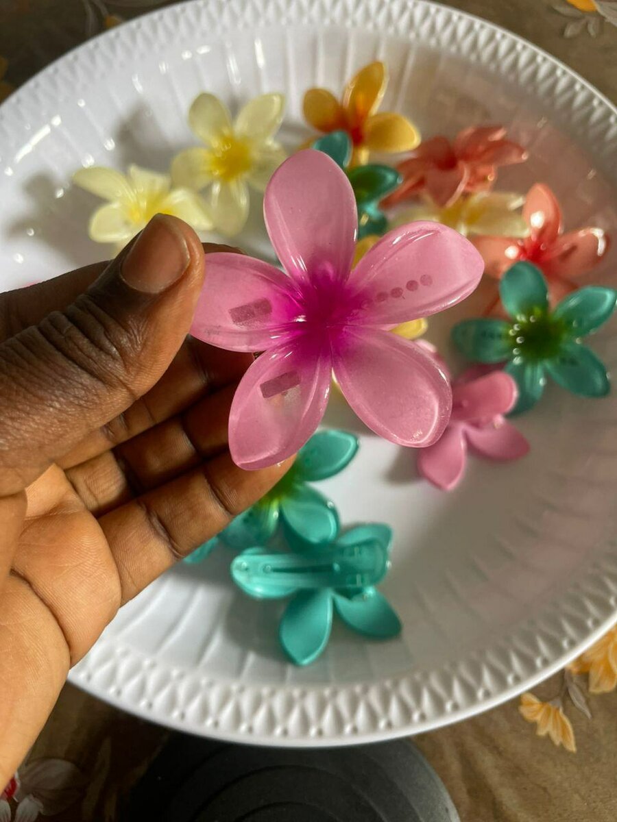 Clips à cheveux fleuries colorées