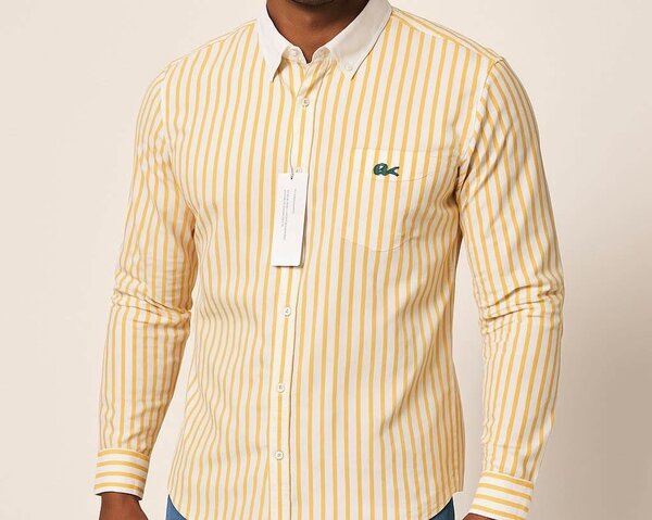 Chemises Homme Élégantes