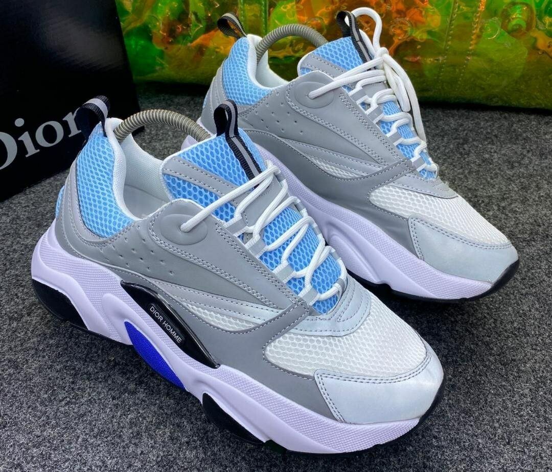 Dior sneakers