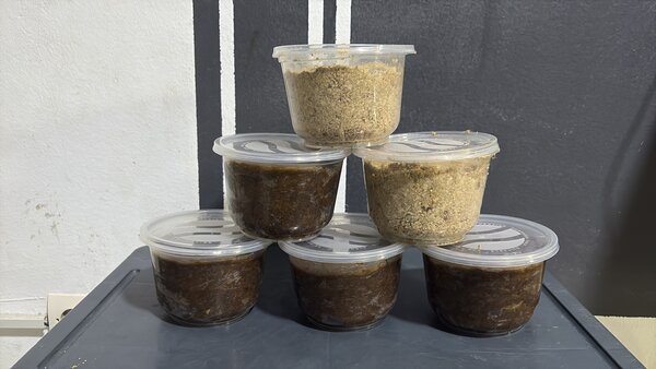 Pure Savon Noir artisanal