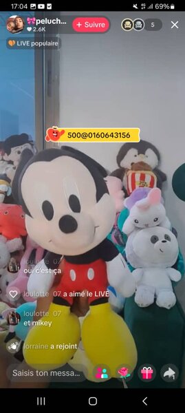 🎀peluches d'amour🎀