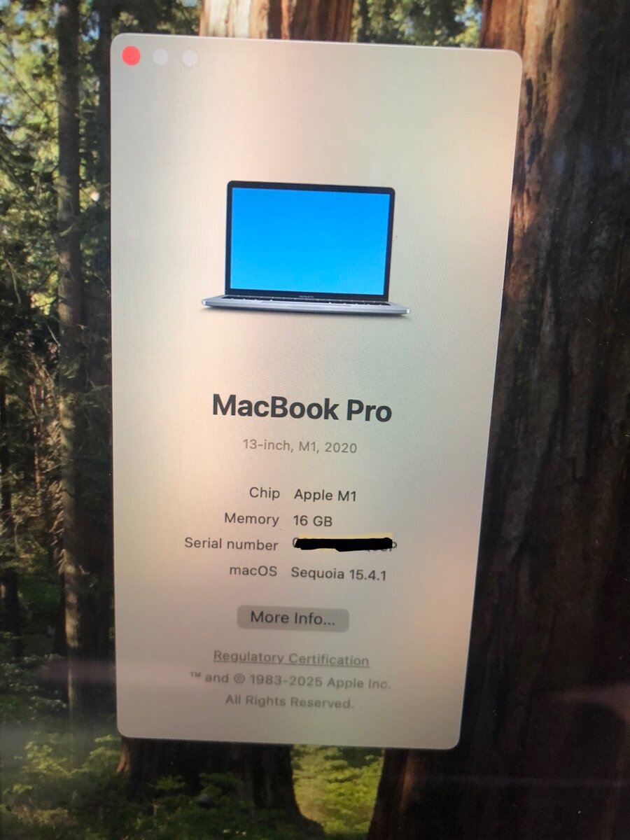 Apple MacBook M1pro 2020 for s