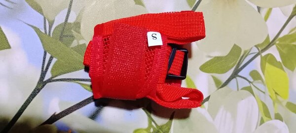 Muselière pour chien