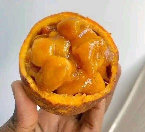 Délicieuse pulpe de fruit exotique