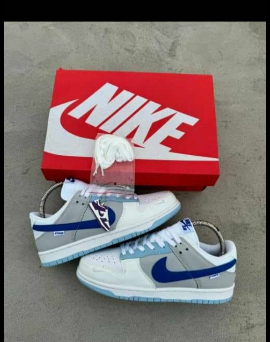 Nike Baskets Bleu-Blanc